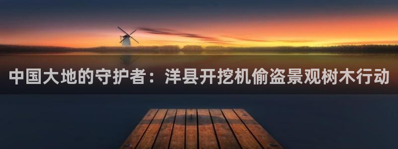 天顺娱乐狼78778：中国大地的守护者：洋县开挖机偷盗景观树木行动